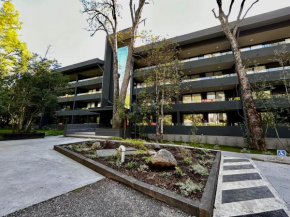 Departamento Pucón